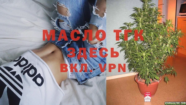 дживик Майский