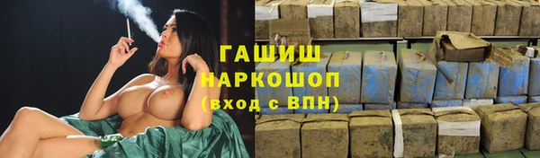 индика Магас