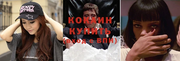индика Магас