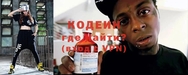 индика Магас
