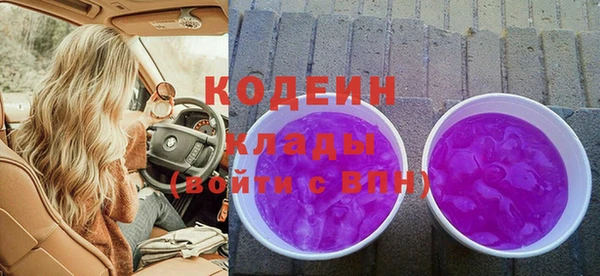 индика Магас
