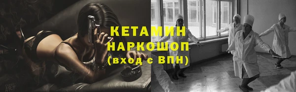 индика Магас