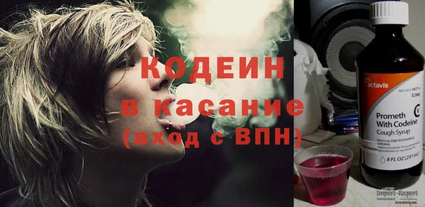 индика Магас