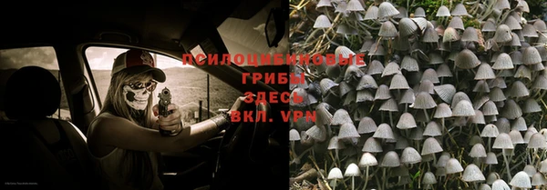 индика Магас
