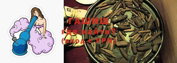 индика Магас